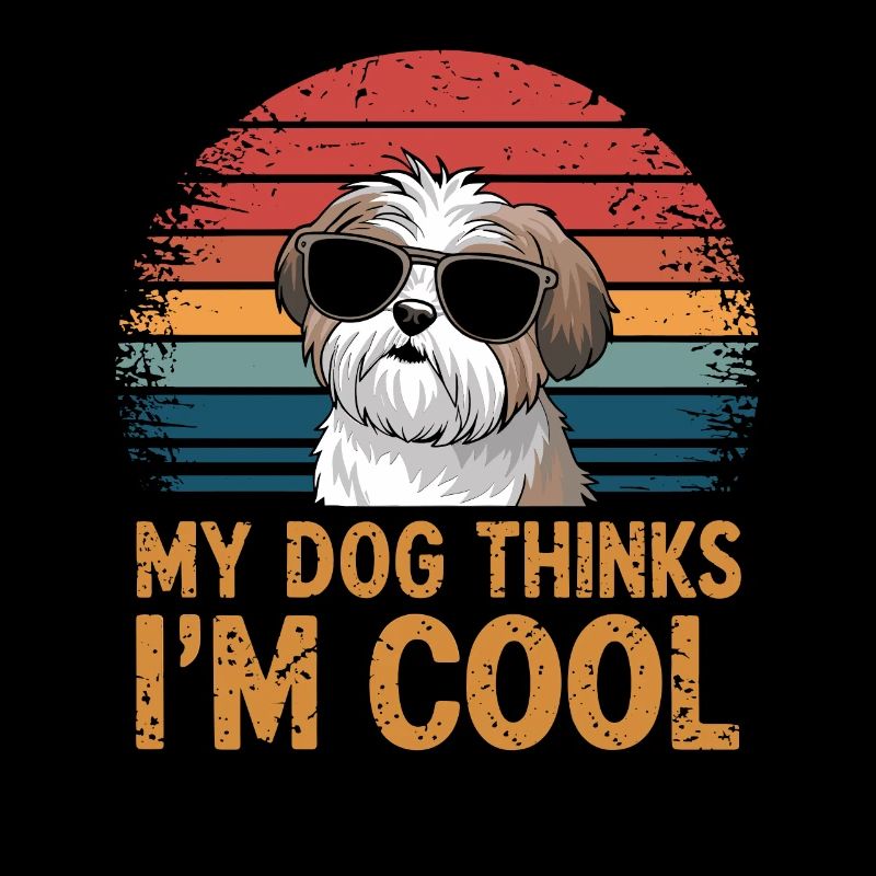 Shi Shitzu Mein Hund Denkt Das Ich Cool Bin