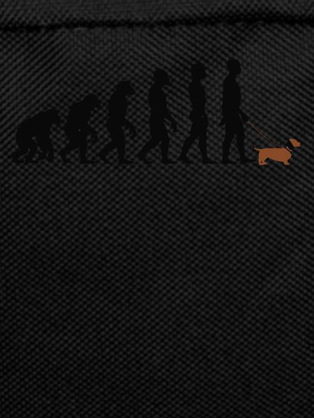 Dachshund