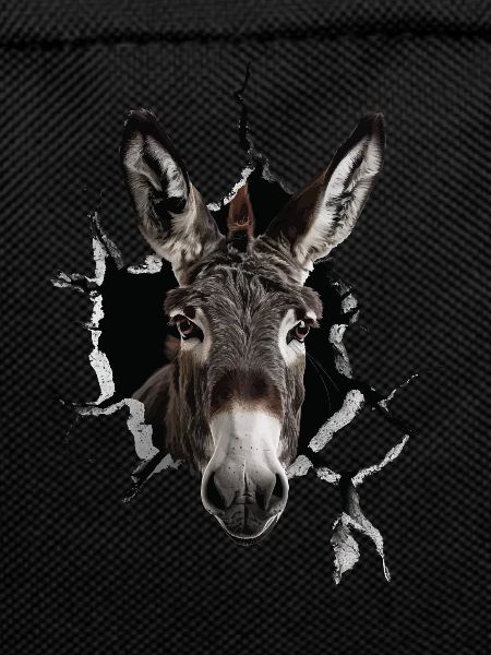 Donkey