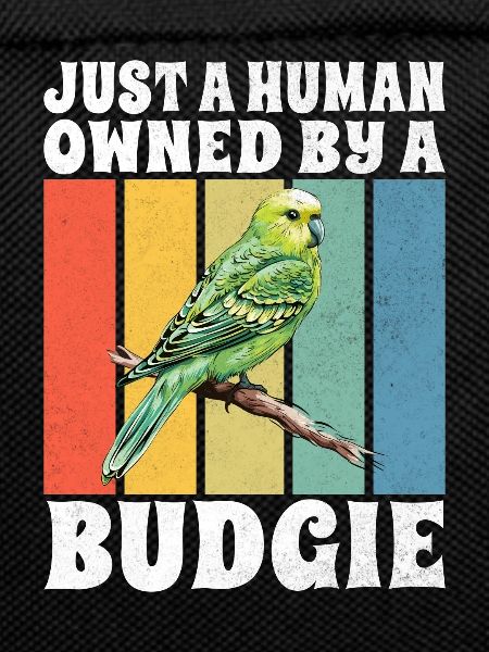 Budgie Gift