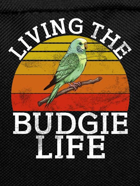 Budgie Gift