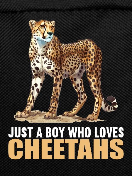 Cheetah Geparde Gepard