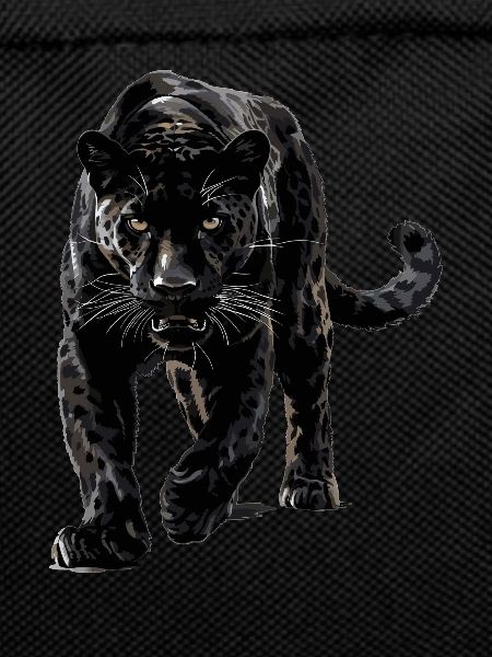 Panthers Panther