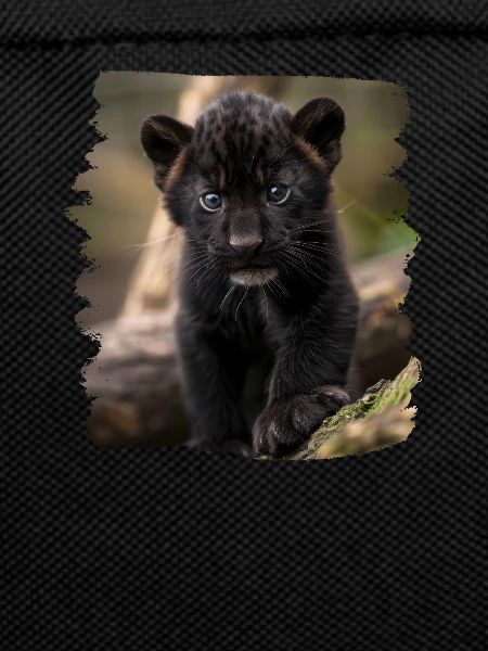 Panthers Panther