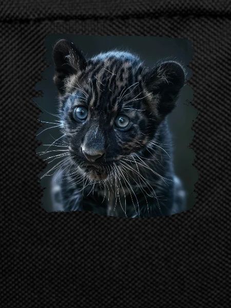 Panthers Panther