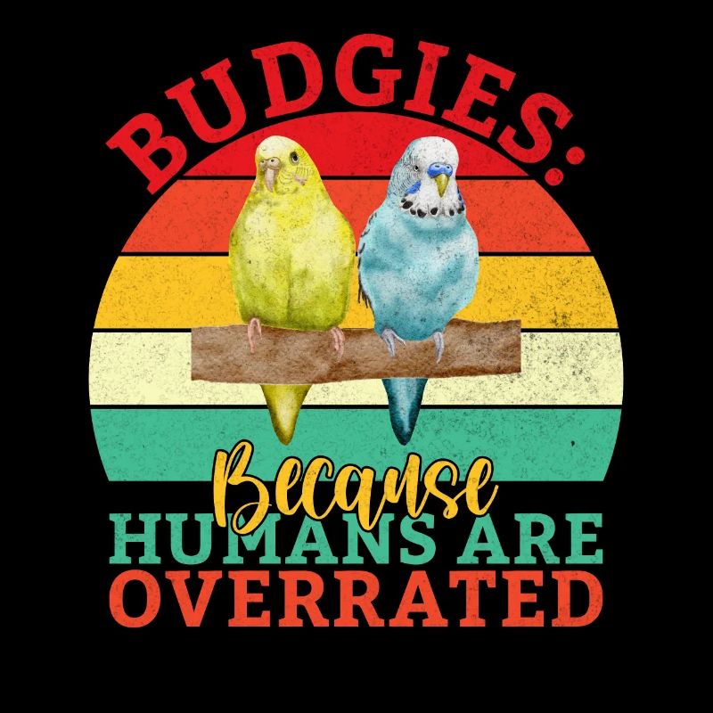 Budgie Gift