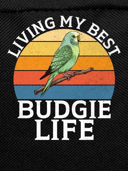 Budgie Gift