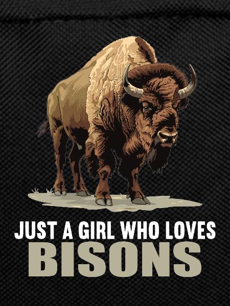 Bisons Bison