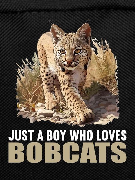 Bobcats Rotluchse Rotluchs Luchs