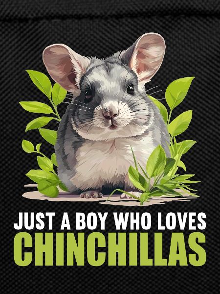 Chinchillas Chinchilla