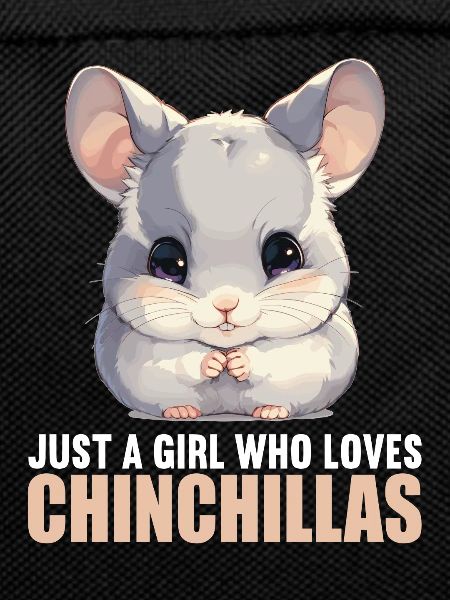 Chinchillas Chinchilla