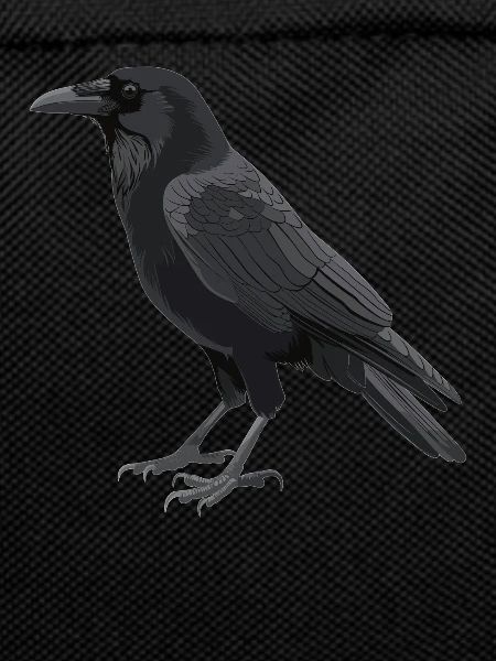 Krähen Krähe