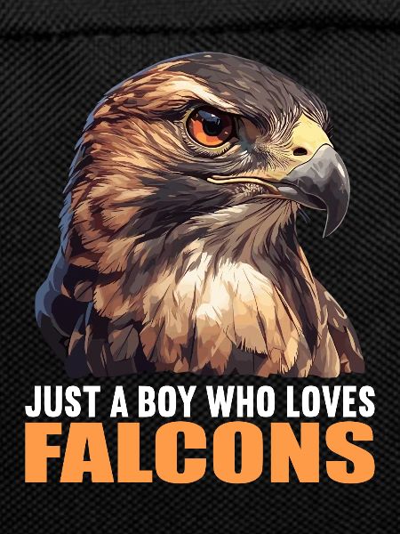 Falcon Falcon