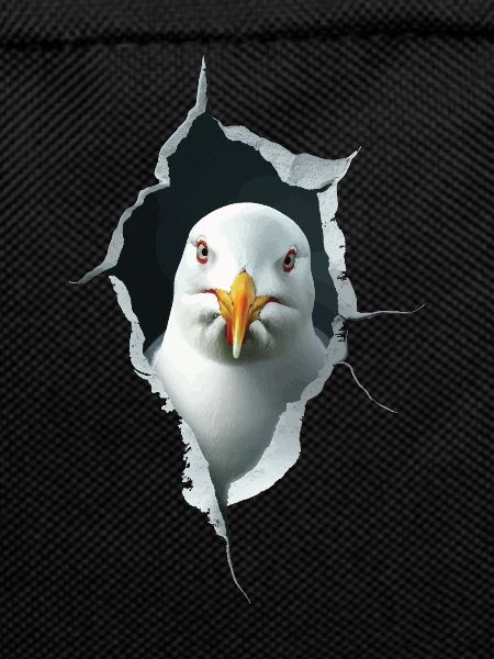 Möwe