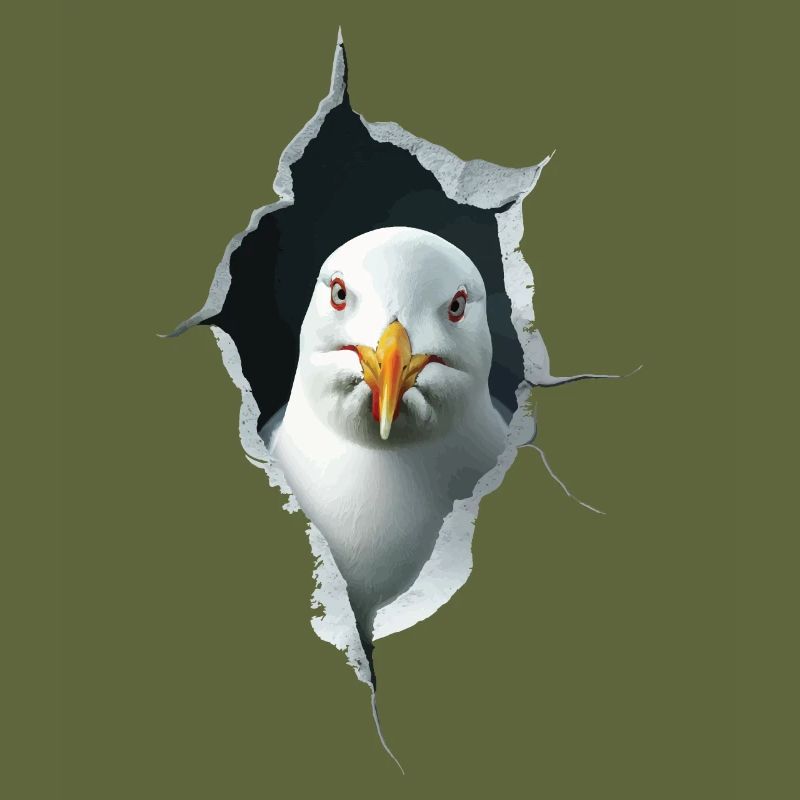 Möwe