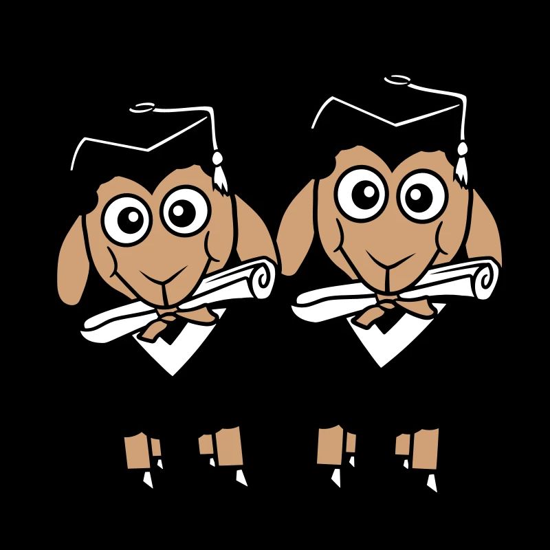 2 Sheep Certificate College Abi Two Students Team