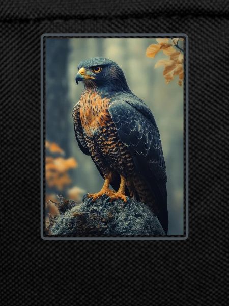 Falcon Falcon