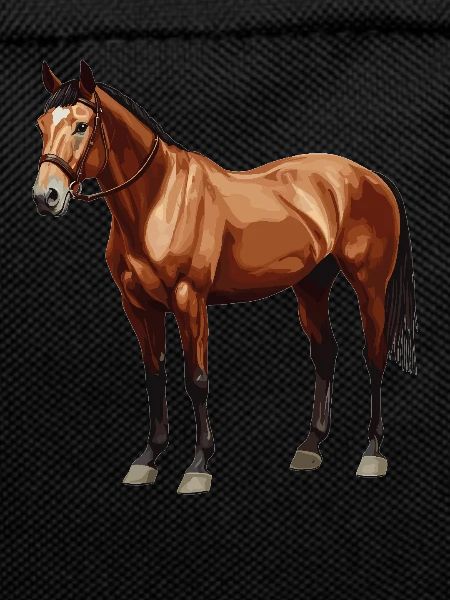 Pferde Pferd