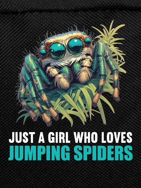 Jumping Spider Springspinnen Springspinne