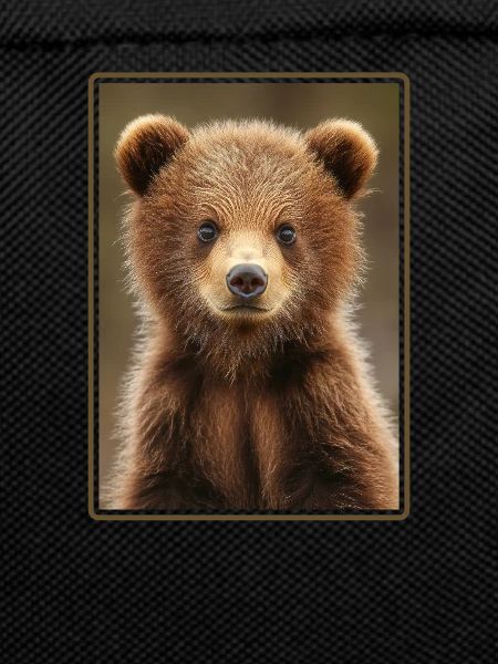 Kodiak Bear Kodiak Bear