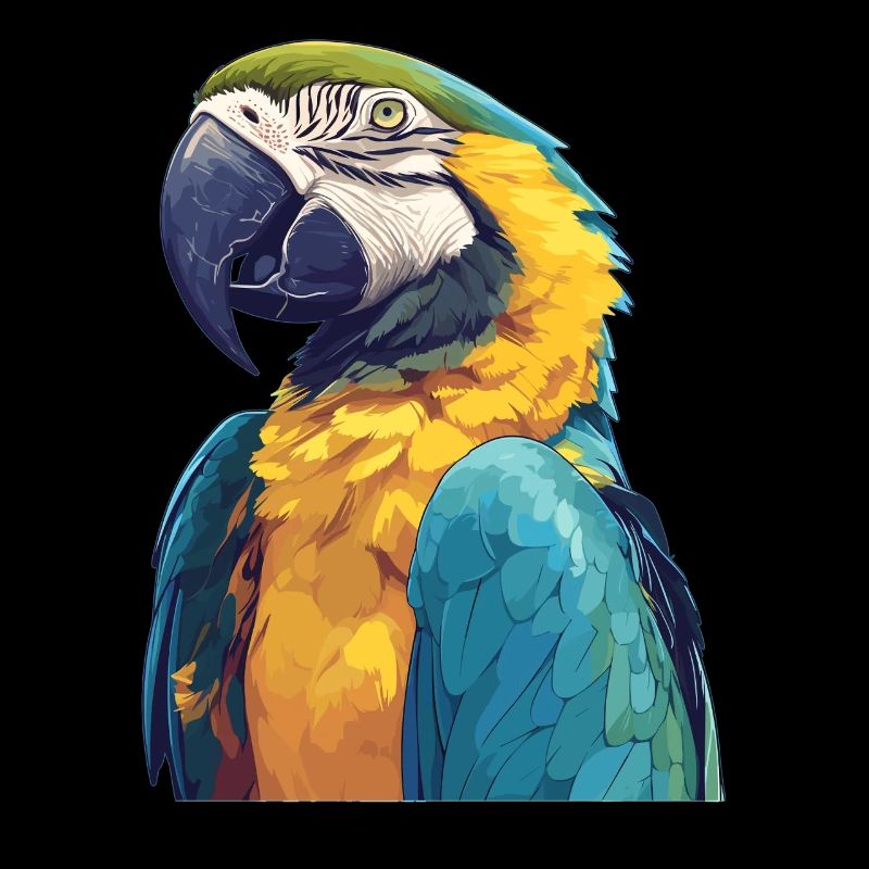 Macaw's Era