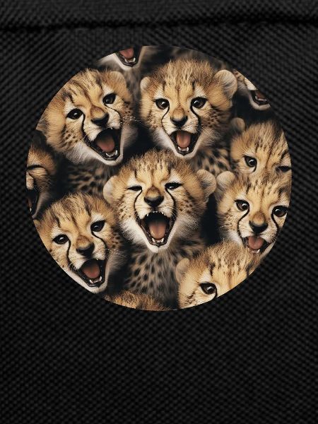 Gepard