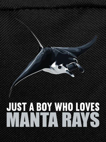 Manta Rays Manta Rays