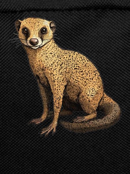 Mongoose's Mongoose