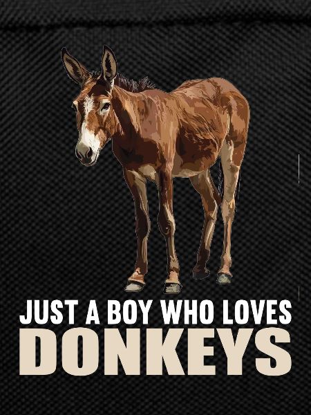 Donkey Esel