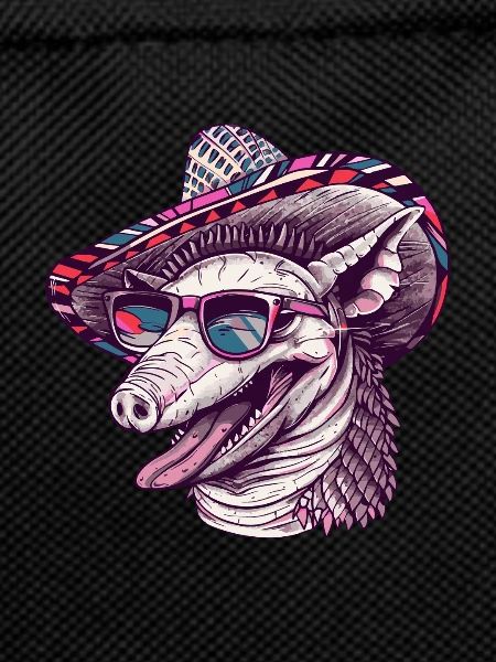 Armadillo Funny Sombrero