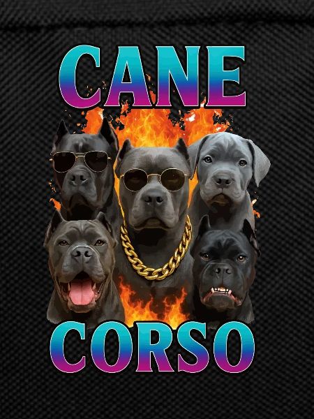Cane Corso