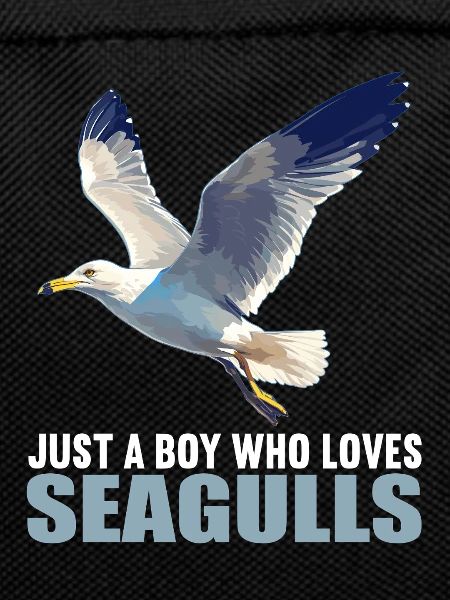 Seagulls Seagull