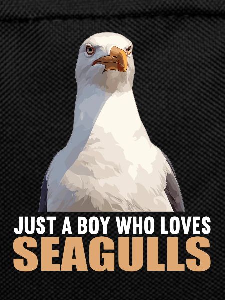 Seagulls Seagull