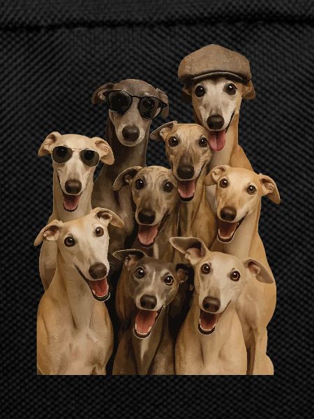 Windhund