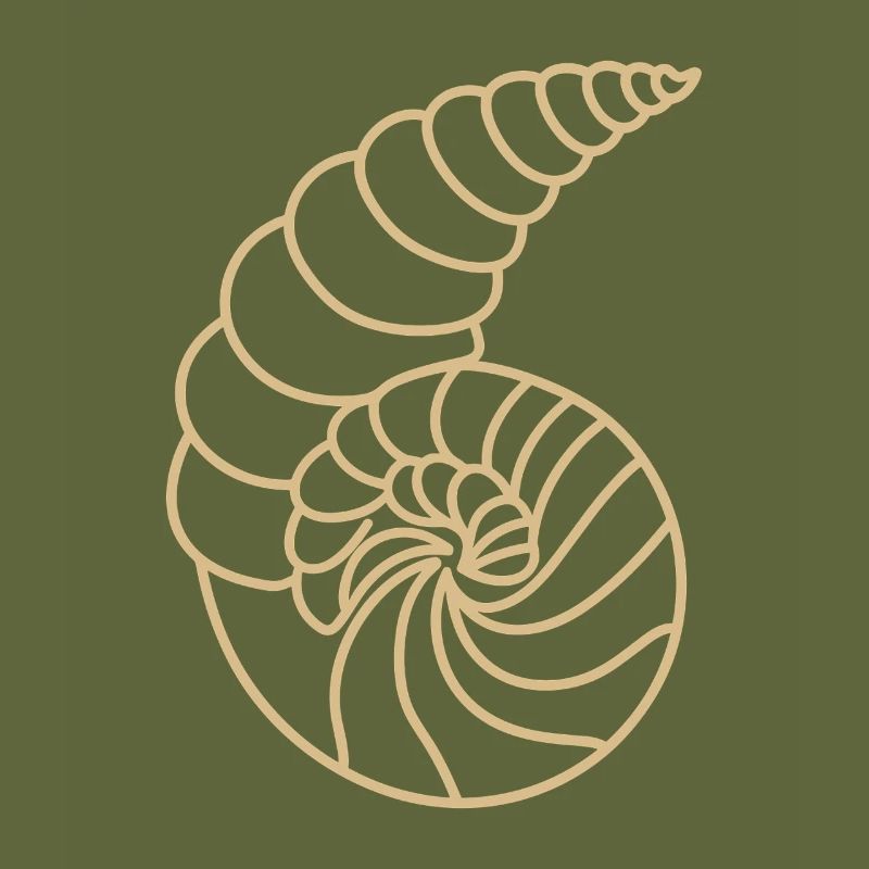 shell