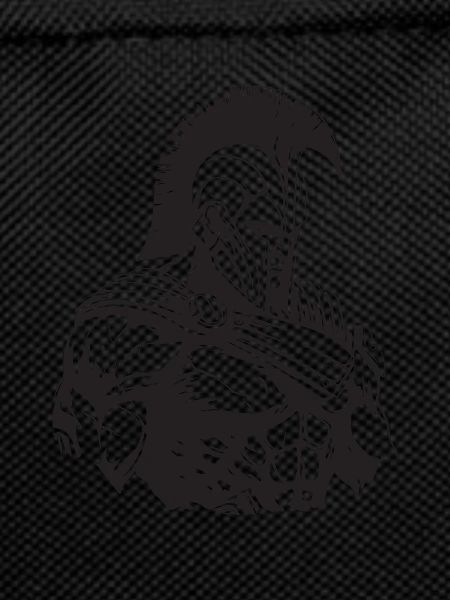 Spartan Gladiator Bodybuilding