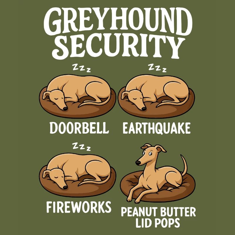 Lévrier Windhund