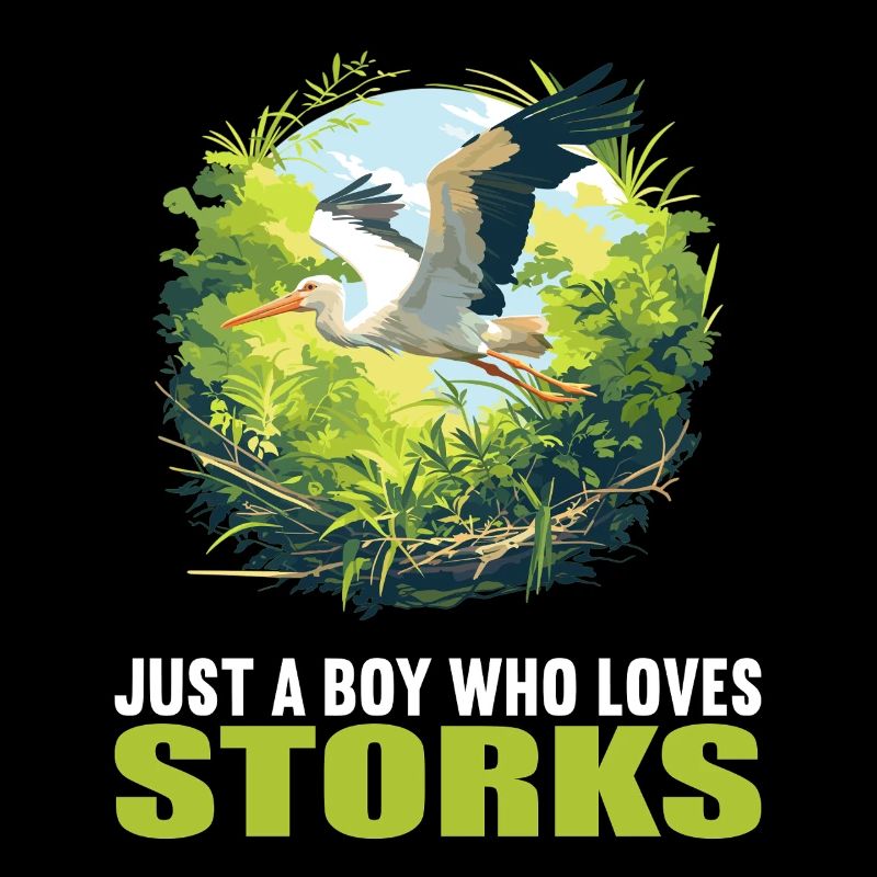 Storks Stork