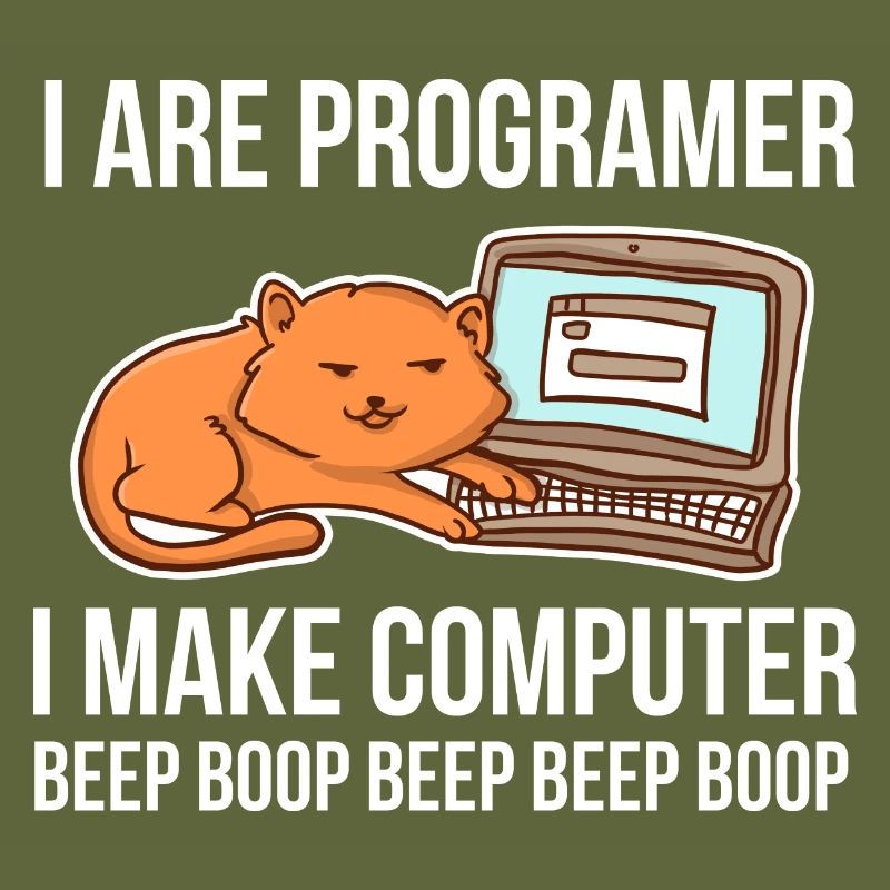 Programmeur-chat-humour pour coder et
