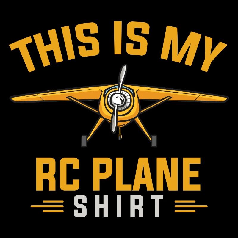 Remote Controlled Airplane Model Airplane