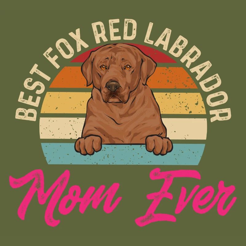Foxred Labrador Fuchsroter Labrador Retriever
