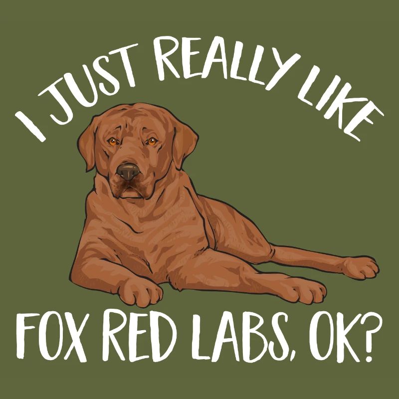 Foxred Labrador Fox Red Labrador Retriever