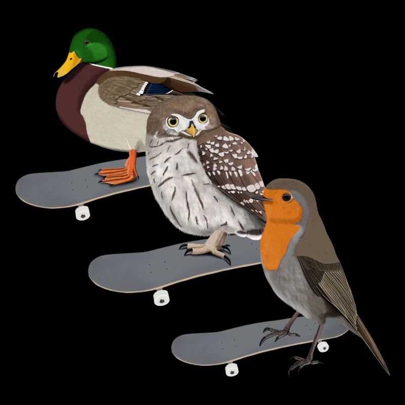 Rotkehlchen Ente Eule Skateboard Vogel