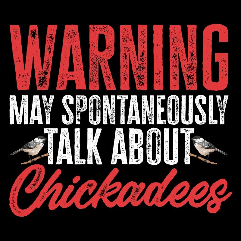 Bird Chickadee Bird Watching