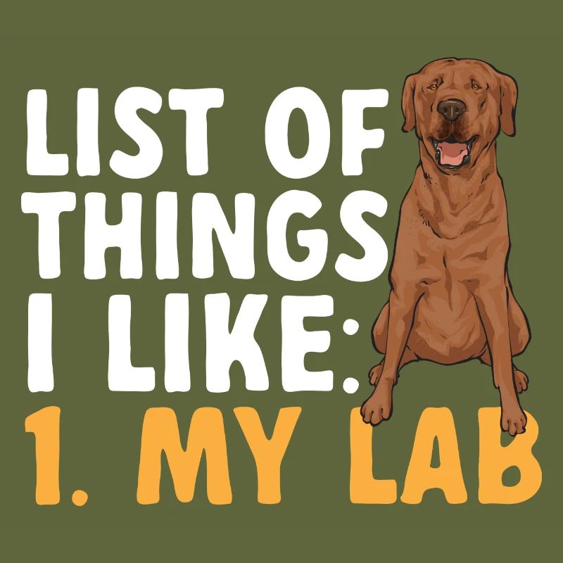 Foxred Labrador Fox Red Labrador Retriever