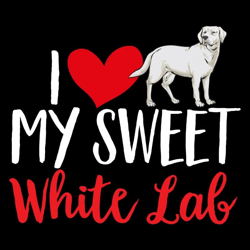 Labrador Retriever blanc Labrador Labrador blanc