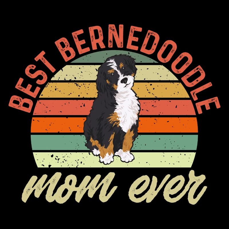 Chien Bernedoodle