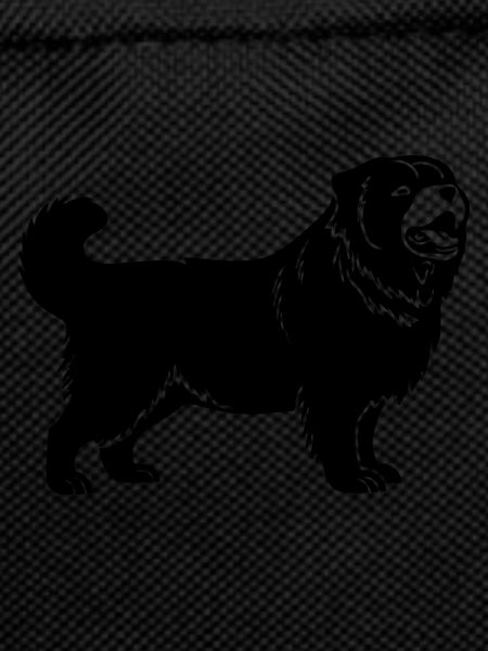 Chow Chow Chien