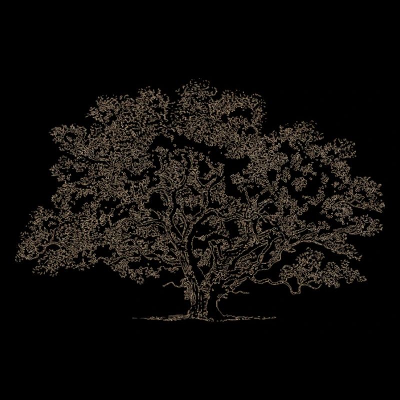A big tree