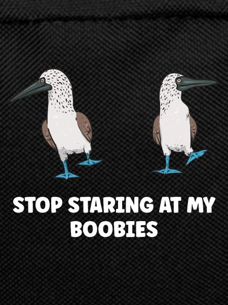 Blaufußtölpel Blue-footed Booby Seevogel